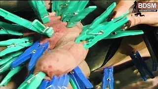 Versaute Amateur-Szene, in der Typen gefesselt und ausgepeitscht werden