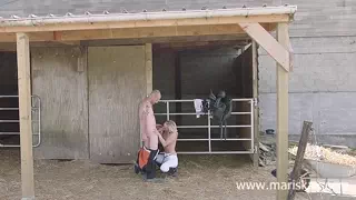 Blonde gets fucked in the riding stable